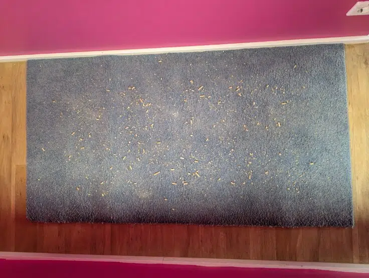 Робот-пылесос Xiaomi X20 Max: флагман с улучшенными функциями — но стоит ли переплачивать?